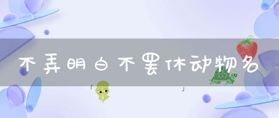 不弄明白不罢休 动物名