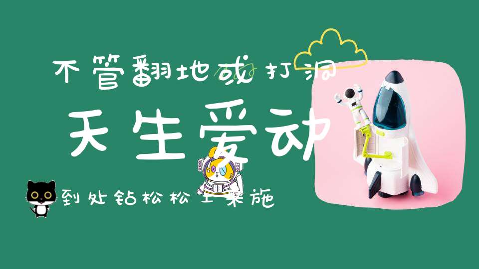 不管翻地或打洞，天生爱动到处钻，松松土来施点肥，人人称我为地