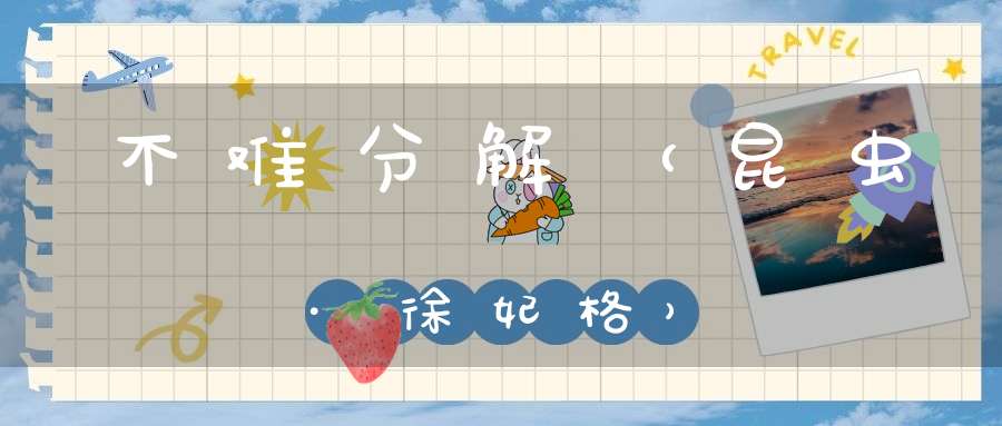 不难分解（昆虫·徐妃格）