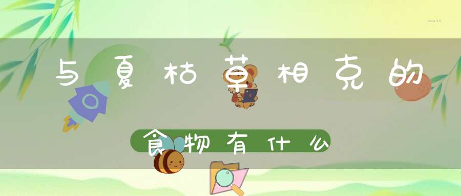 与夏枯草相克的食物有什么？