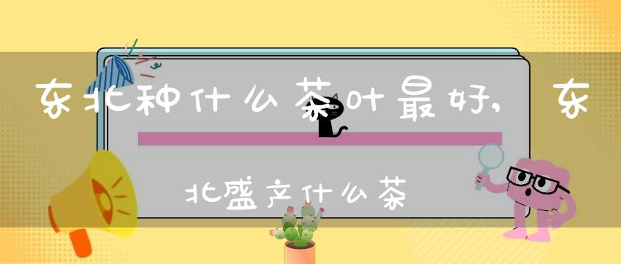 东北种什么茶叶最好,东北盛产什么茶