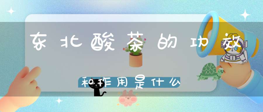 东北酸茶的功效和作用是什么