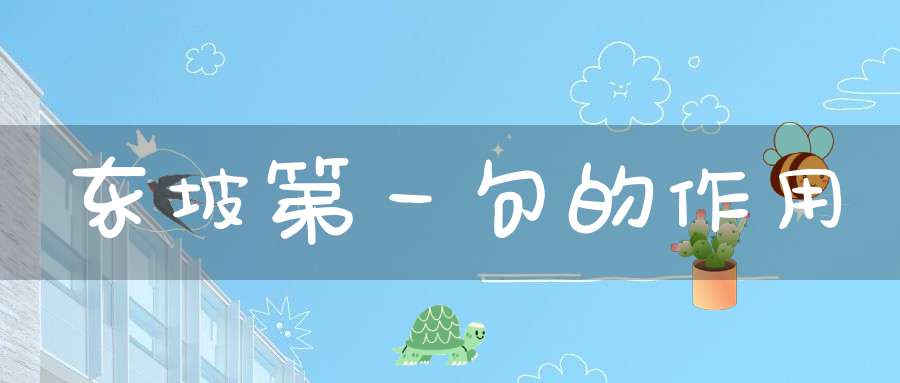 东坡第一句的作用