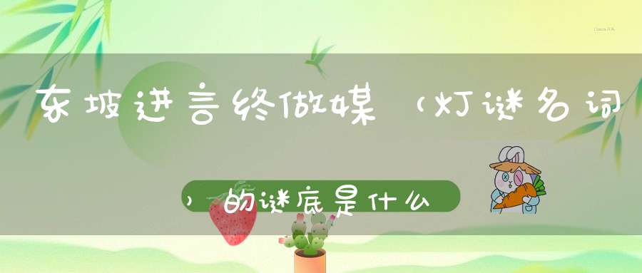 东坡进言终做媒 （灯谜名词）的谜底是什么?