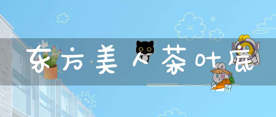 东方美人茶叶底