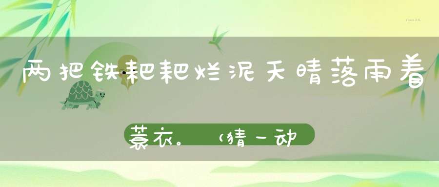 两把铁耙耙烂泥，天晴落雨着蓑衣。 （猜一动物）