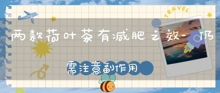 两款荷叶茶有减肥之效-仍需注意副作用