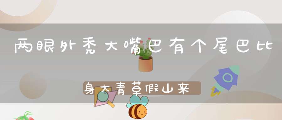 两眼外秃大嘴巴，有个尾巴比身大，青草假山来相伴，绽放朵朵大红