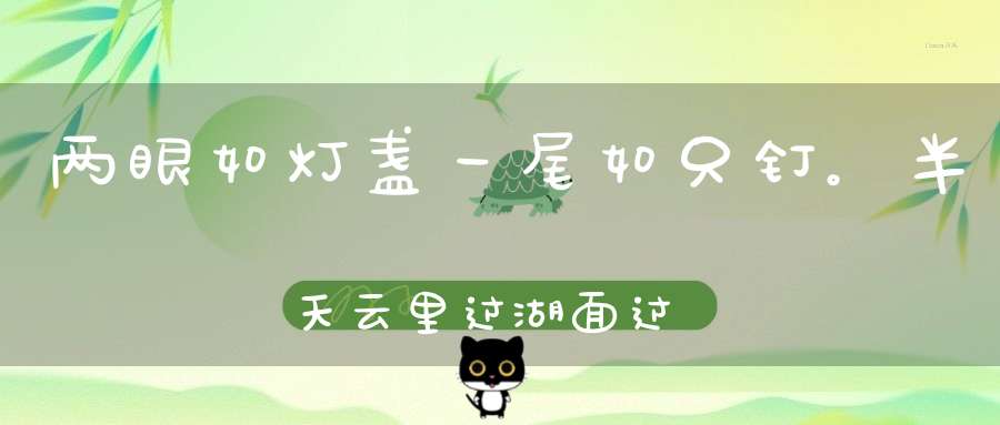 两眼如灯盏，一尾如只钉。半天云里过，湖面过光阴（打一动物）