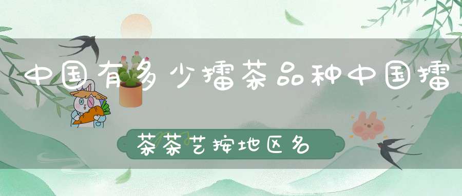 中国有多少擂茶品种中国擂茶茶艺按地区名俗可分为