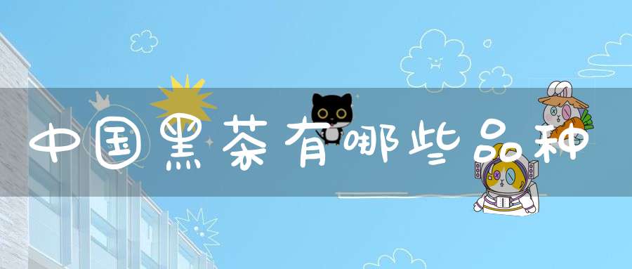 中国黑茶有哪些品种