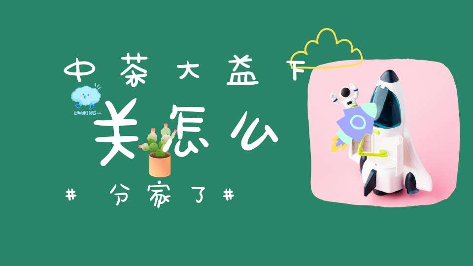 中茶大益下关怎么分家了