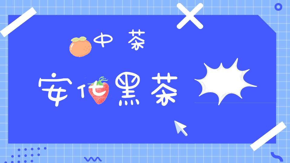 中茶安化黑茶
