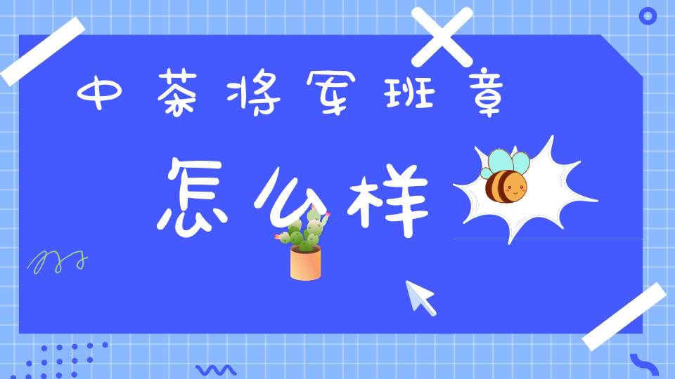 中茶将军班章怎么样