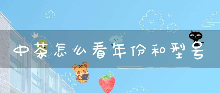 中茶怎么看年份和型号