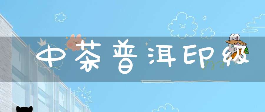 中茶普洱印级