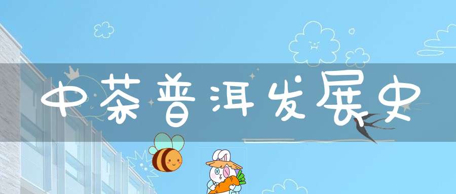 中茶普洱发展史