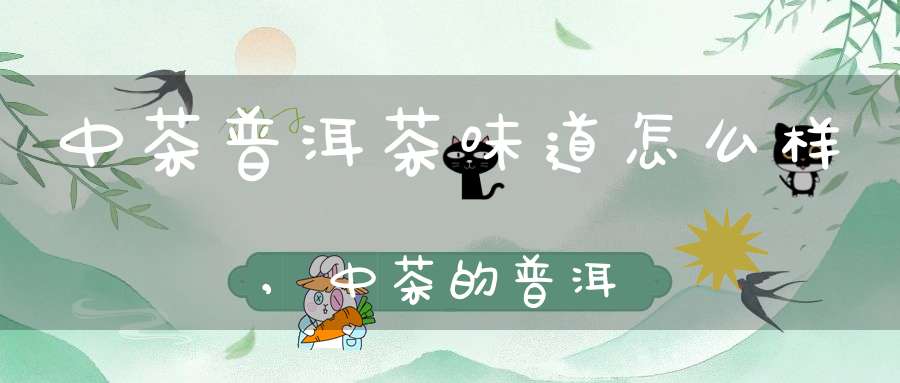 中茶普洱茶味道怎么样,中茶的普洱