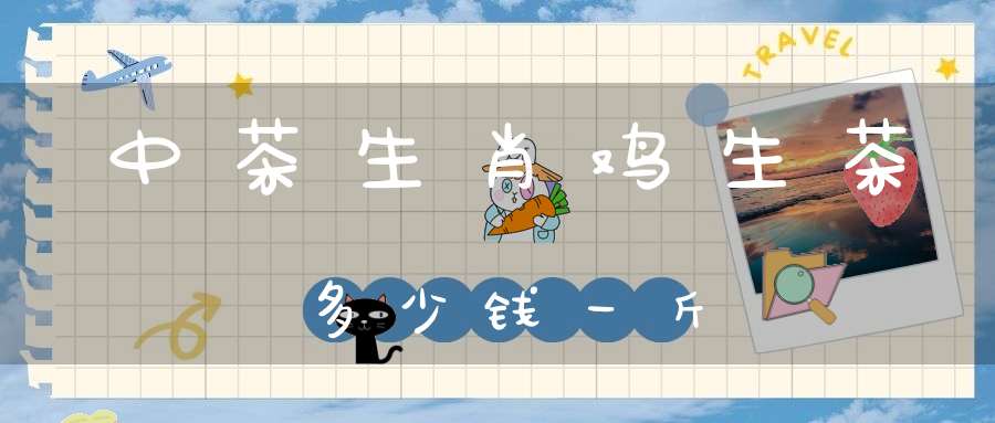 中茶生肖鸡生茶多少钱一斤
