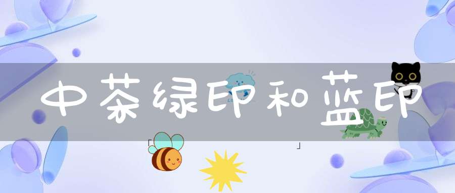 中茶绿印和蓝印