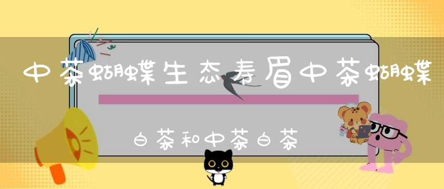 中茶蝴蝶生态寿眉中茶蝴蝶白茶和中茶白茶