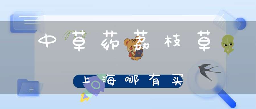 中草药荔枝草上海哪有买？