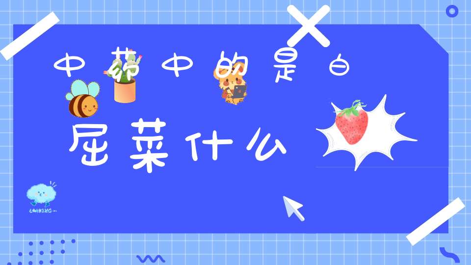 中药中的是白屈菜什么？