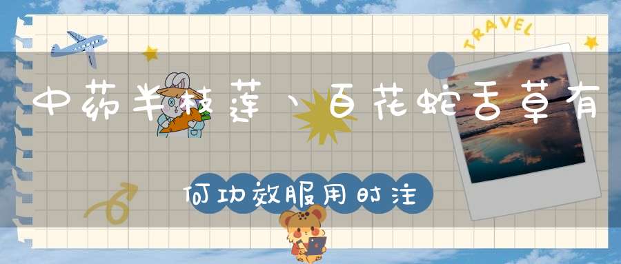 中药半枝莲丶百花蛇舌草有何功效服用时注意什么禁忌？