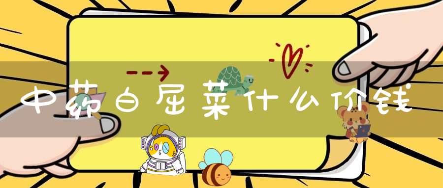 中药白屈菜什么价钱？