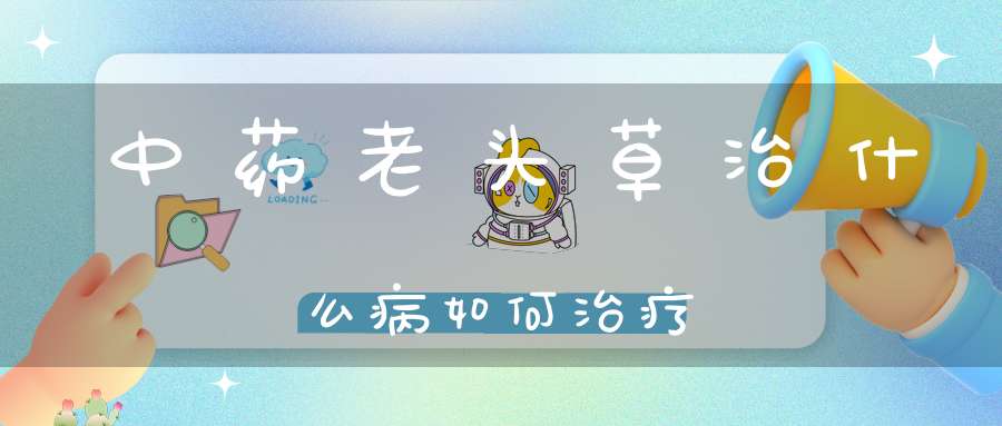 中药老头草治什么病如何治疗？