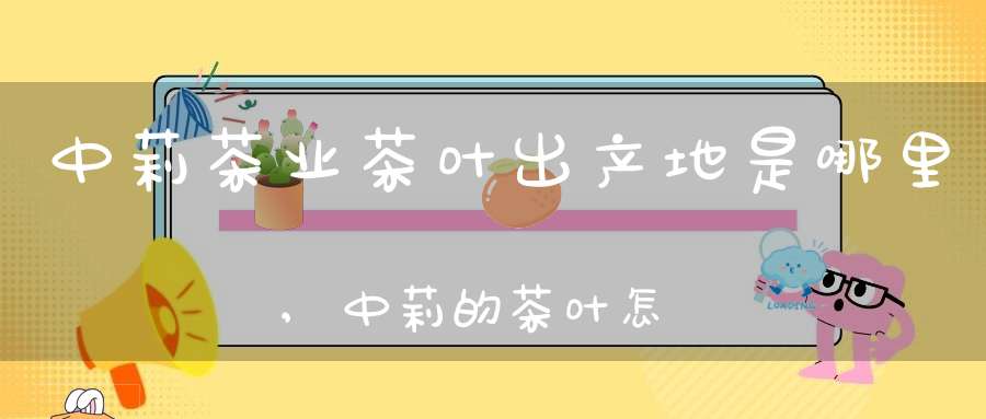 中莉茶业茶叶出产地是哪里,中莉的茶叶怎么样