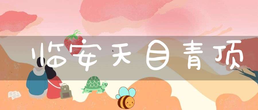 临安天目青顶