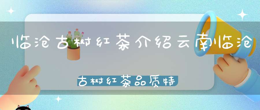 临沧古树红茶介绍云南临沧古树红茶品质特征