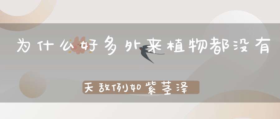 为什么好多外来植物都没有天敌例如紫茎泽兰、但外来作物却相？
