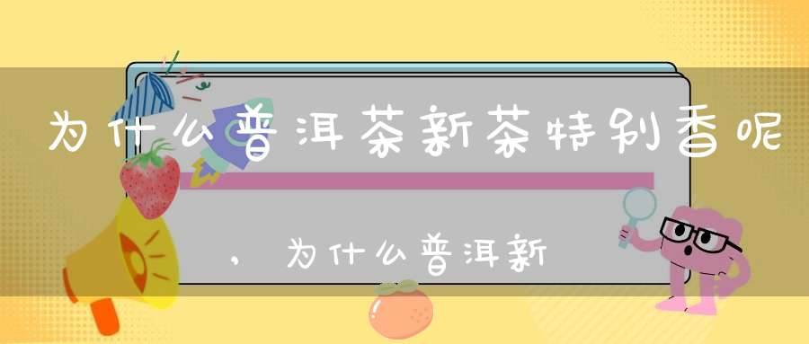 为什么普洱茶新茶特别香呢,为什么普洱新茶适合存放