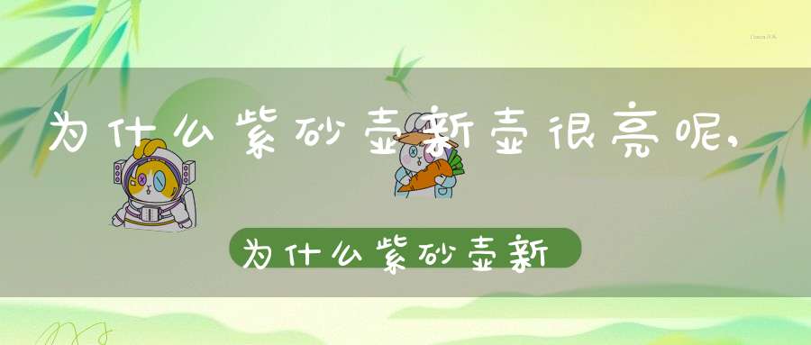 为什么紫砂壶新壶很亮呢,为什么紫砂壶新壶很亮光
