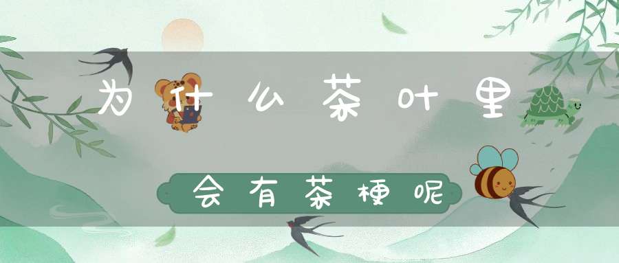 为什么茶叶里会有茶梗呢