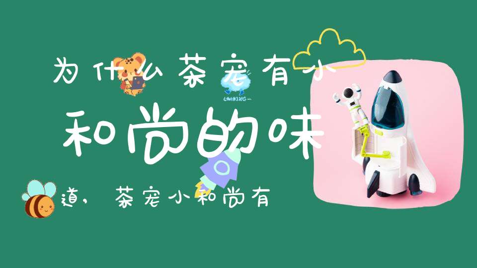 为什么茶宠有小和尚的味道,茶宠小和尚有什么寓意