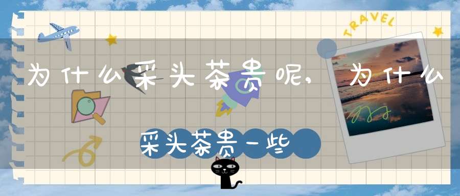 为什么采头茶贵呢,为什么采头茶贵一些