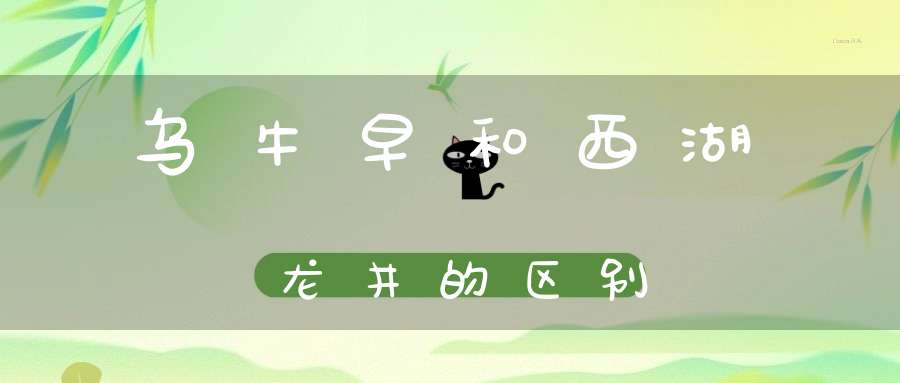 乌牛早和西湖龙井的区别