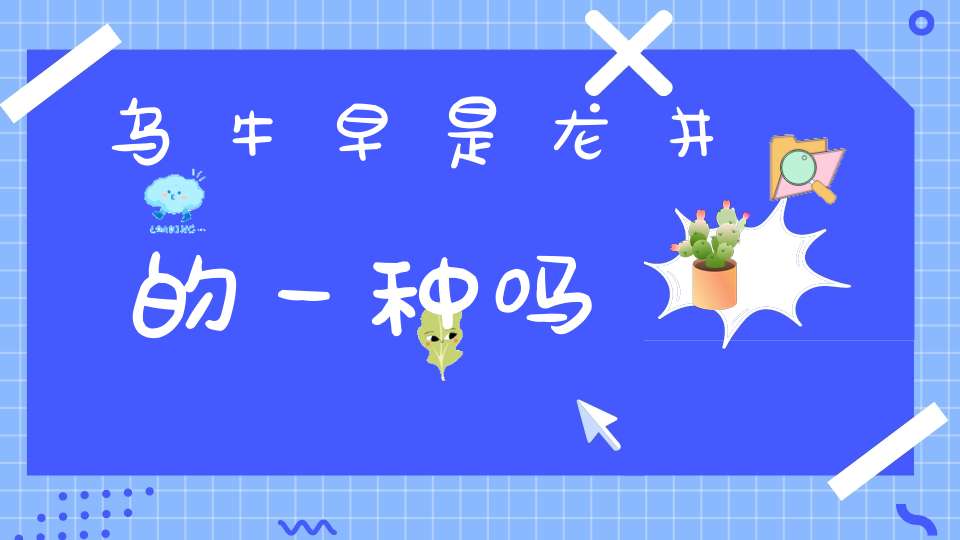 乌牛早是龙井的一种吗