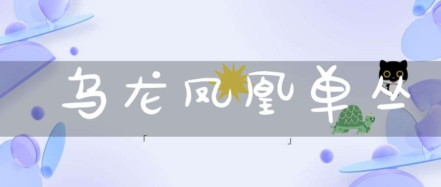 乌龙凤凰单丛