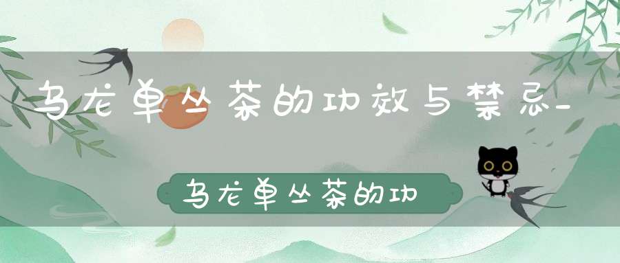 乌龙单丛茶的功效与禁忌_乌龙单丛茶的功效和作用