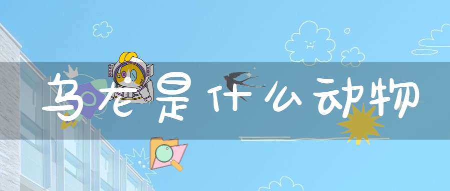 乌龙是什么动物