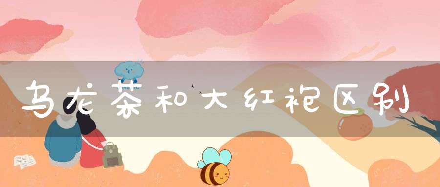 乌龙茶和大红袍区别