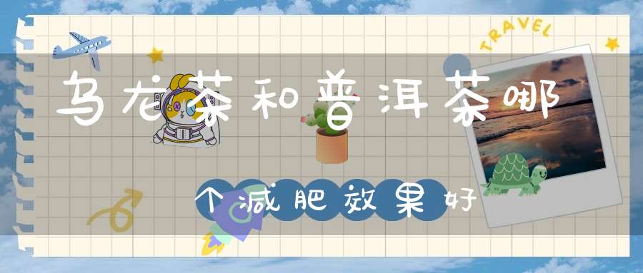 乌龙茶和普洱茶哪个减肥效果好