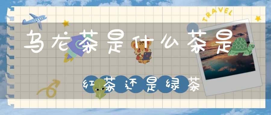 乌龙茶是什么茶是红茶还是绿茶