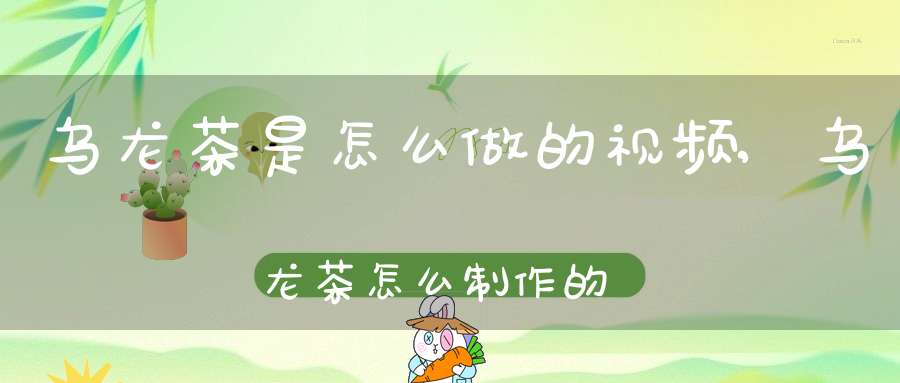 乌龙茶是怎么做的视频,乌龙茶怎么制作的