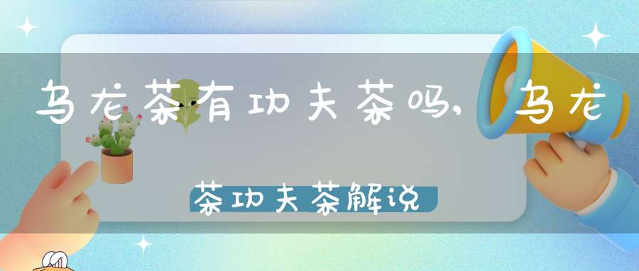 乌龙茶有功夫茶吗,乌龙茶功夫茶解说