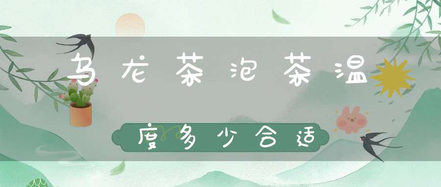 乌龙茶泡茶温度多少合适